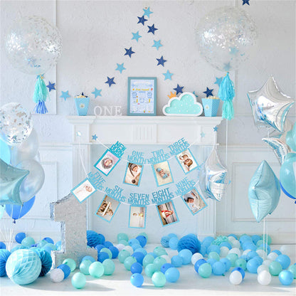 1st Birthday Photo Banner From New Born to 12 Months for Baby-Monthly photo banner-Milestone banner- photo cards- first birthday decorations